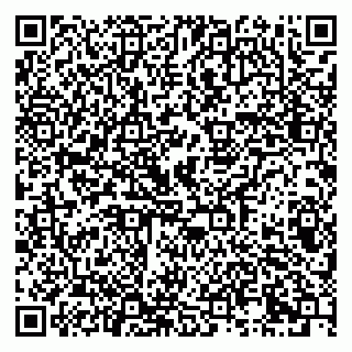 vCard 79173000739