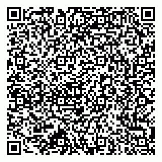 vCard 79173000802