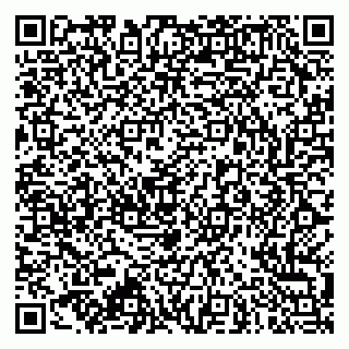 vCard 79173000804