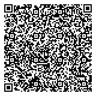 vCard 79173000808