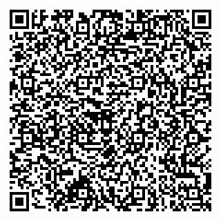 vCard 79173000871