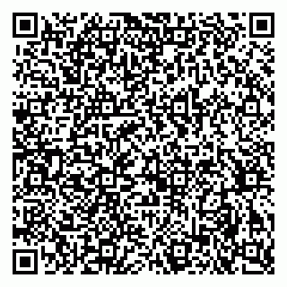 vCard 79173000951