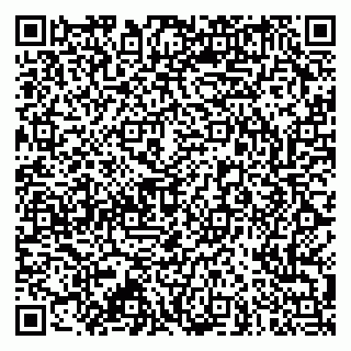 vCard 79173000960
