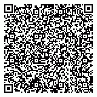 vCard 79173000963