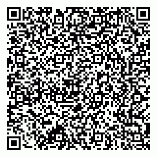 vCard 79173000987