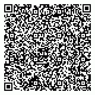 vCard 79173000993
