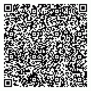vCard 79173001069