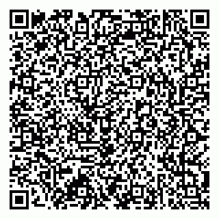 vCard 79173003339