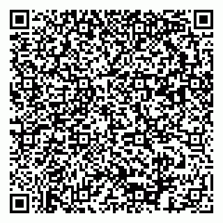 vCard 79173003439