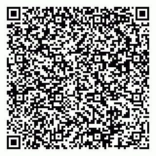 vCard 79173003539