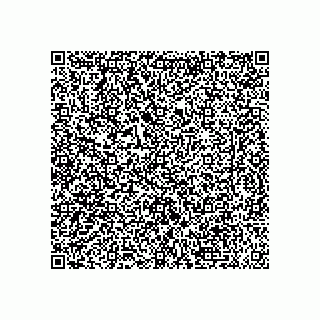 vCard 79173380745