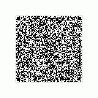 vCard 79173382581