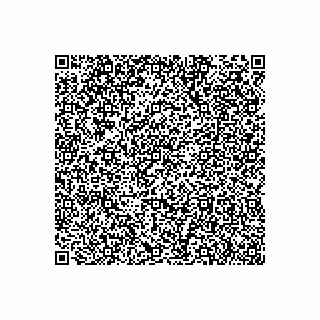 vCard 79173430527