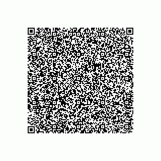 vCard 79173833350