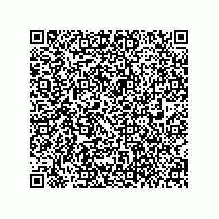 vCard 79174000173