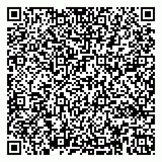 vCard 79175000413