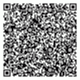 vCard 79177000173