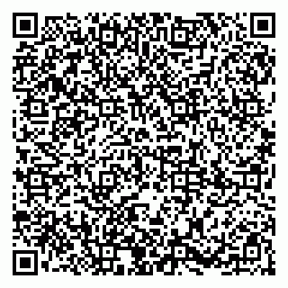 vCard 79185000039