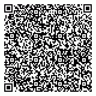 vCard 79185000139