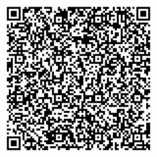 vCard 79185000380