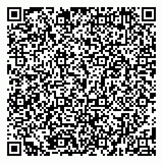 vCard 79185000399