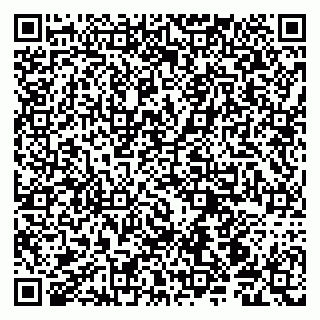 vCard 79190700010
