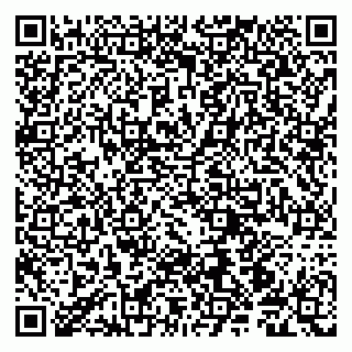 vCard 79190700013