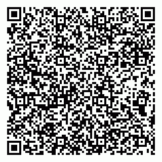 vCard 79190700029