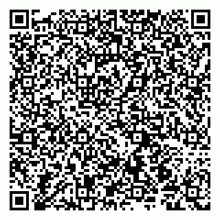 vCard 79190700031