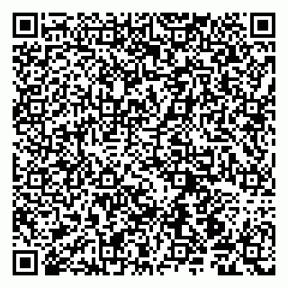 vCard 79190700037
