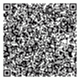 vCard 79190700038