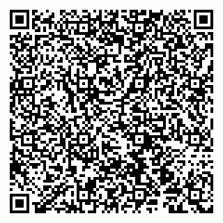 vCard 79190700041