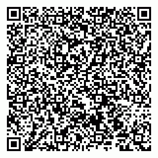 vCard 79190700045