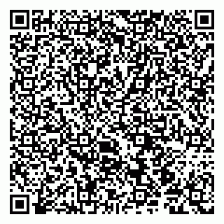 vCard 79190700051