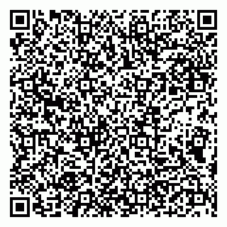 vCard 79190700055