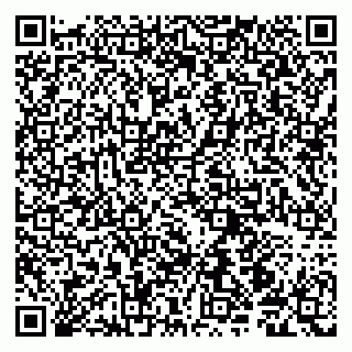 vCard 79190700060