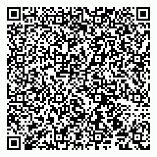 vCard 79190700065