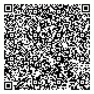 vCard 79190700129