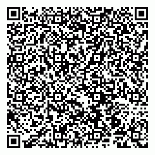 vCard 79190700131