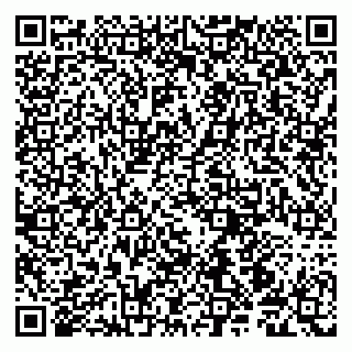 vCard 79190700132