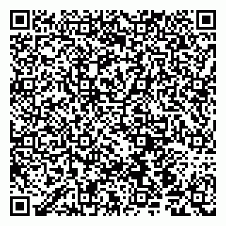 vCard 79190700133