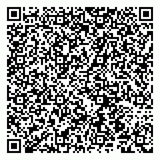 vCard 79190700137