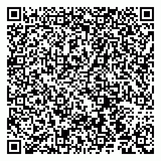 vCard 79190700163
