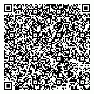 vCard 79190700169