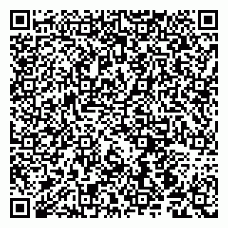 vCard 79190700173