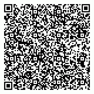vCard 79190700208