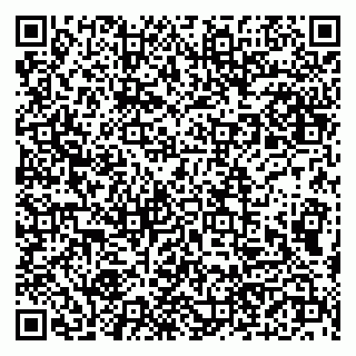 vCard 79190700209