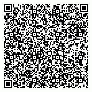 vCard 79190700216