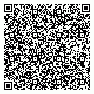 vCard 79190700218