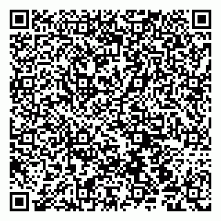 vCard 79190700219